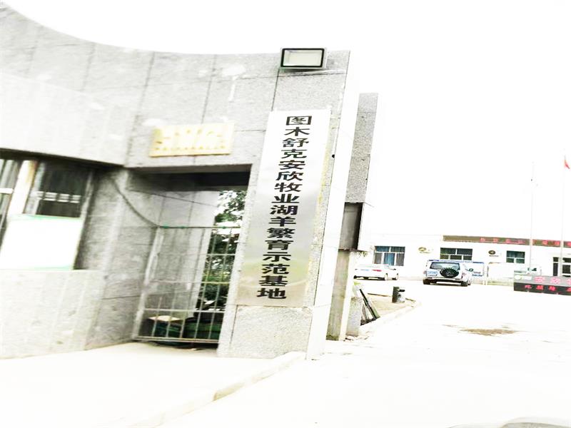 图木舒克安欣牧业