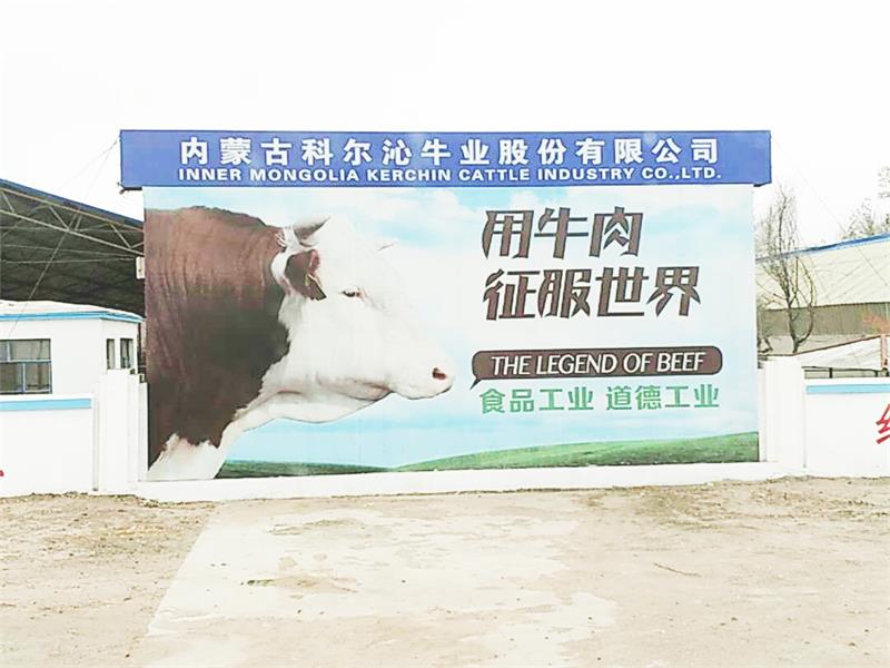 内蒙古科尔沁牛业