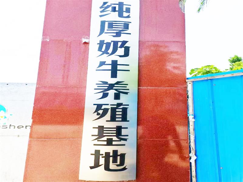 纯厚奶牛养殖基地