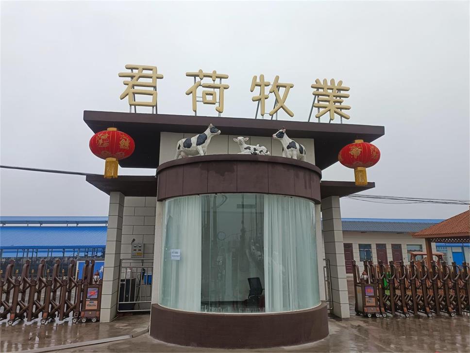 君荷牧业